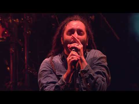 Alborosie - Contradiction (Live at Couleur Café 2018)