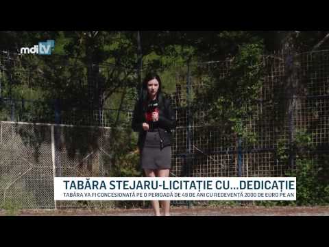TABARA STEJARU LICITATIE CU DEDICATIE    - MDI TV