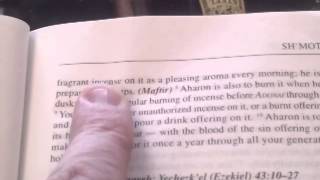 Exodus 30:23 Fragrant Cane