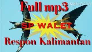 Download lagu Suara panggil burung Walet super sedot Walet tetangga full mp3 mp3