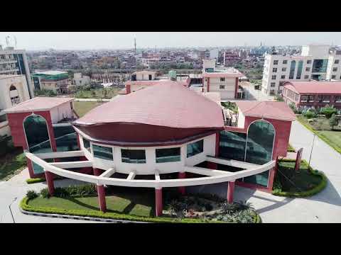 download lagu mp3 mp4 Cimp, download lagu Cimp gratis, unduh video klip Cimp