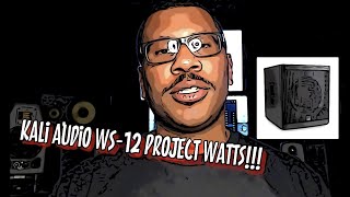 Video thumbnail for Kali Audio WS - 12 Subwoofer review #kaliaudio #subwoofer by OUTHABOX studios