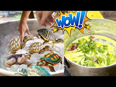 Yummy Cooking turtle recipe ! Villge Cooking turtle Soup and eating video
