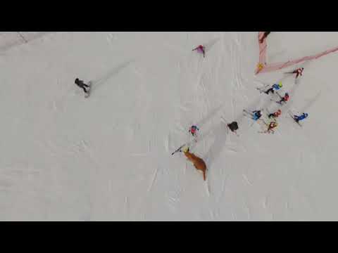 Scuola sci anzi Carnevale 2020