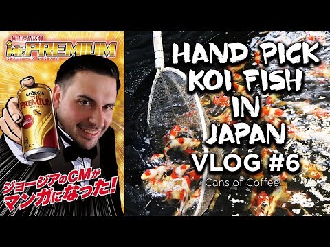 Hand Picking Baby Koi for Ponds! Japanese Koi Farms Fish Selection VLOG #6