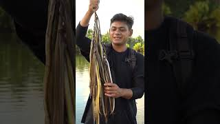 Download lagu Catching Estuary Eels Using Bare Hands #adventure mp3
