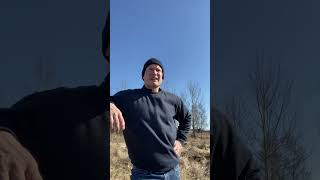 Beskrivning projekt vilda pollinatörer