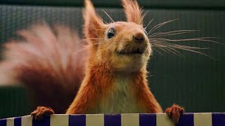 Trailer Preview Image