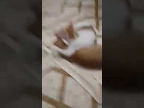 ١٠ أكتوبر، ٢٠٢٠