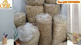 Bulk Dry Oyster Mushrooms Requirements || Send Samples to Chandrapur, Maharashtra || Team GBS