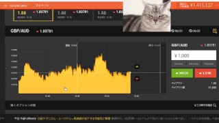 【FX】2万円負けたのでデモで練習して取り返す【BO】