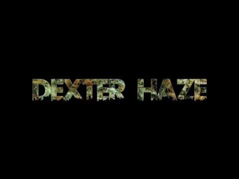 DEXTER HAZE / RAPIDEMIA  #2 / 2014