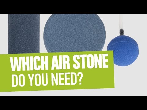 YouTube video about: How long do air stones last?