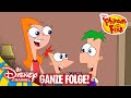 Endlich Erwischt Teil 1 Ganze Folge Phineas Und Ferb
