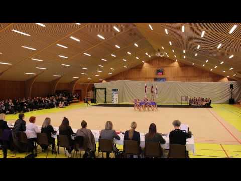 Fyrra steypakapping 2017 Team-Birta HF pinkur