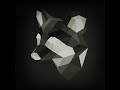 Raccoon Out Of Different Shapes