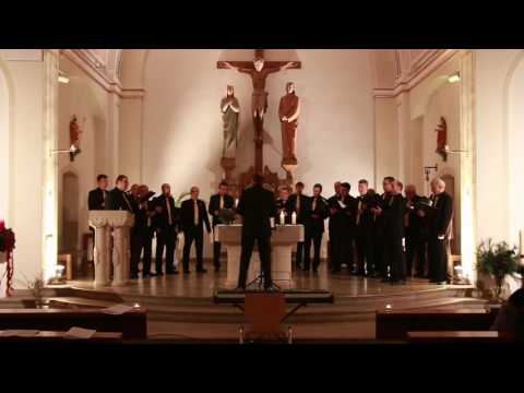 VocalArt Ottfingen - Schlaf wohl du Himmelsknabe du