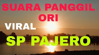 Download lagu suara panggil walet pajero ori #asean tenggara#malaysia#thailand#vetnan#walet# mp3 Download lagu suara panggil walet pajero ori #asean tenggara#malaysia#thailand#vetnan#walet# mp3