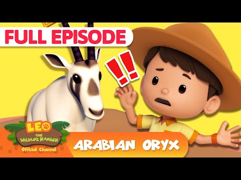 Witness21 Editor  2025 04 24