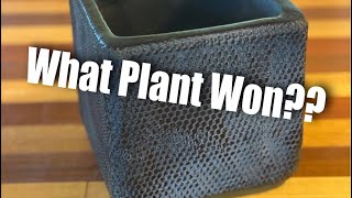 What plant won?? (What plant should I plant in my new pot) | EverCrest