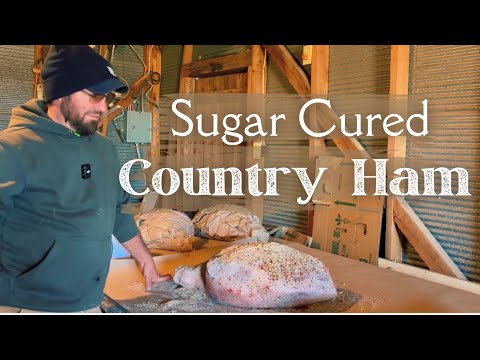 Traditionally Cured Country Ham || From Start to Finish || January 2025