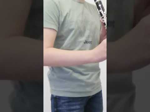 John Legend - All of me - Clarinet cover