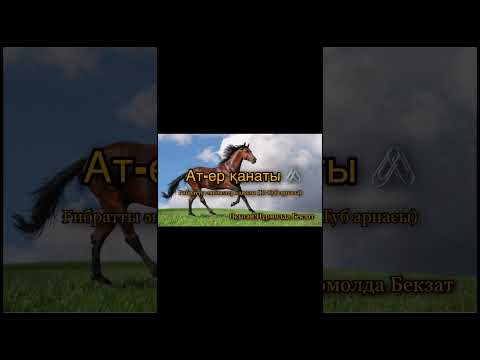 Ер қанаты ат эссе. Ер қанаты ат эссе. Ер қанаты ат эссе. Акбузат конь урал батыра. Ер қанаты ат эссе.