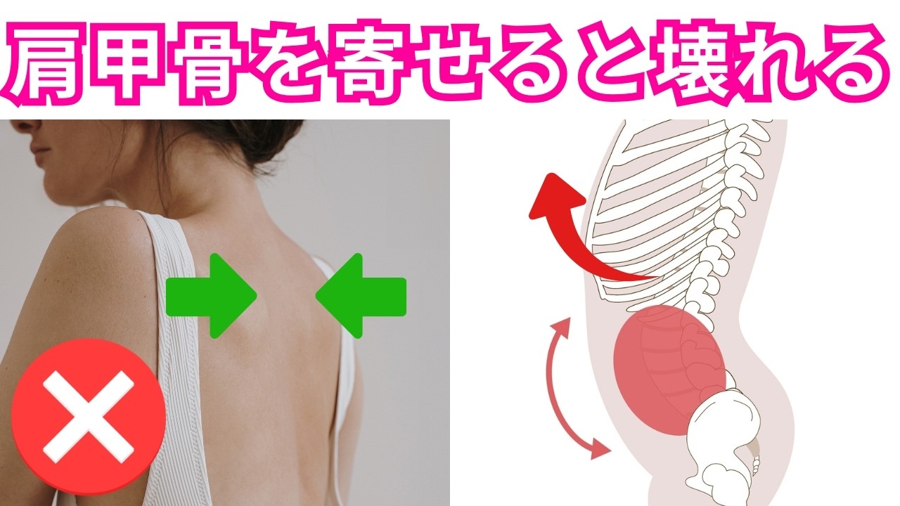 「肩甲骨を背骨に寄せる動き」で身体に起きる弊害３選！