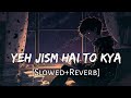 Yeh Jism Hai Toh Kya Slowed Reverb Jism 2 Ali Azmat Lofi Music Channel