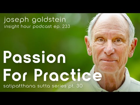 Passion For Practice with Joseph Goldstein – Insight Hour Ep. 233 – Satipatthana Sutta Series Pt. 30