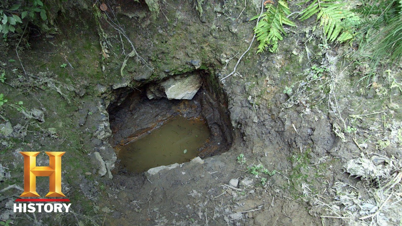 YouTube Thumbnail Downloader FULL HQ IMAGE