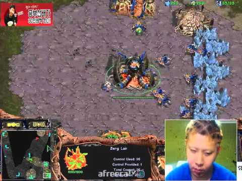 FPVOD TerrOr vs Meknal ZvP 28.02.2016 Starcraft Brood War