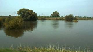 preview picture of video 'Elbe-Hochwasser Blickrichtung Wittenberg (2.10.2010) 002'