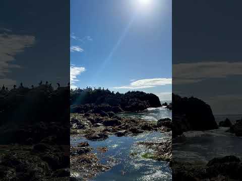 The beautiful beach glistens under the sun after yesterday's refreshing rain. #lagunabeach #ocean
