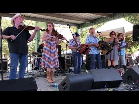 Festivals Acadiens 2019: Jesse Lege & Bayou Brew with Jace Goulas - "Scott Playboy Special"