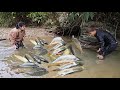 Homeless Boy And Poor Girl Go To Catch Carp In The Stream To Sell And Cook At Home