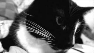 Puddle Of Mudd - Keep it together (Original Song)