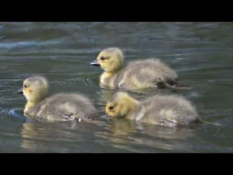 Die Freude ist groß 19 05 23