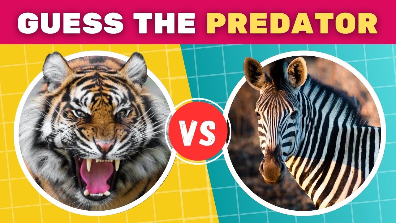 Predator vs Prey Animal Quiz 🦁🦌