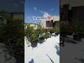 My Garden In Summer Vs Monsoon