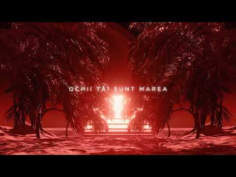 Mario Fresh x Renvtø   Necesar   Lyric Video