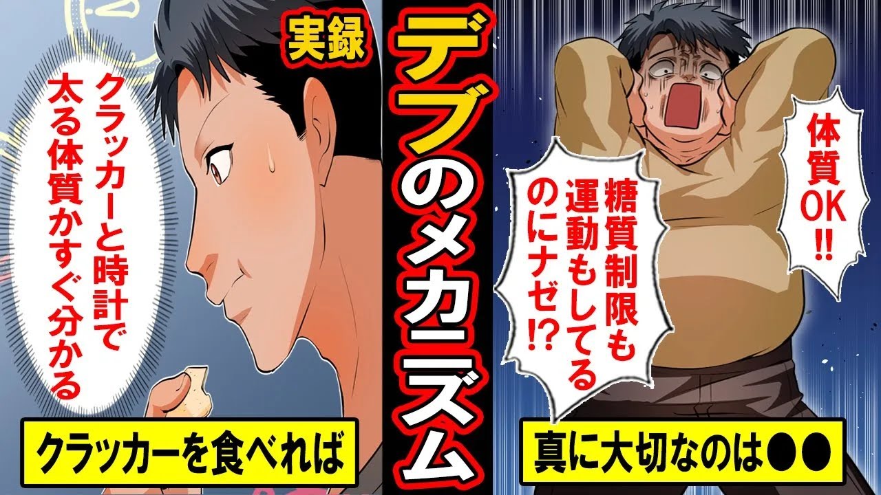【実録】デブになる人のメカニズム‥運動も糖質制限もしてるのになぜか太る‥1番大切なことは？太りやすい体質チェック法も紹介【漫画】【マンガ動画】