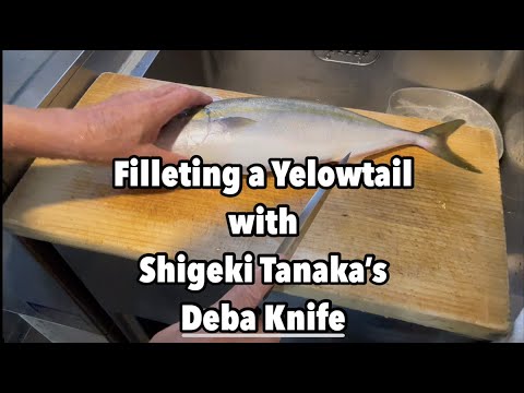 【Shigeki Tanaka】Fillet a Yellowtail with a Deba Knife