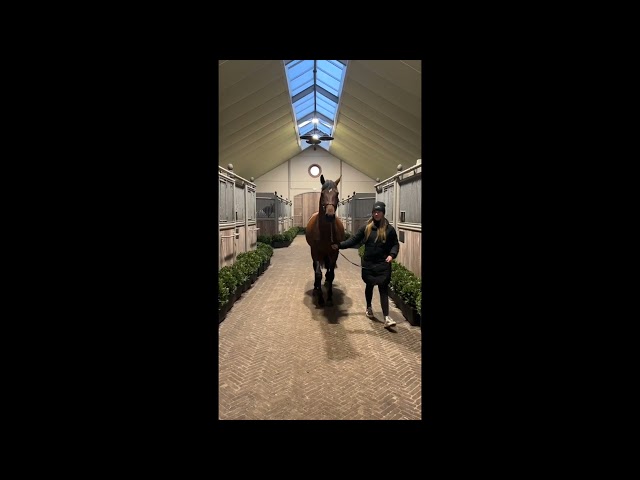 Unique S&T walk & 360