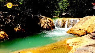 Yazılı Kanyon Tabiat Parkı Haziran Ekosistemi Isparta Belgesel 4K