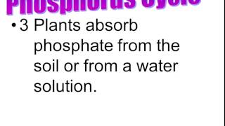 Nutrient Cycling