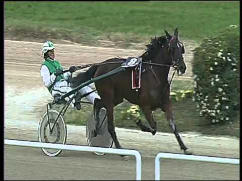 Trotto 07/02/2016 - 3° corsa