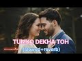 Tumko Dekha To Kya Yeh Ho Gaya Hamara Dil Aapke Paas Hai Alka Yagnik Kumar Sanu Slowed Reverb