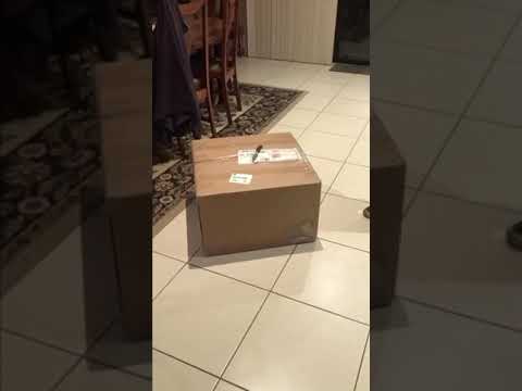 WINNER Jessie Morris got his HANDPAN!! 🎉 🛸 🎉