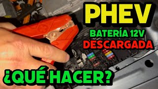 OUR 12V BATTERY IS GOING DOWN ON A PLUG-IN HYBRID! WHAT TO DO IF THIS HAPPENS IN YOUR CAR? MOTORK